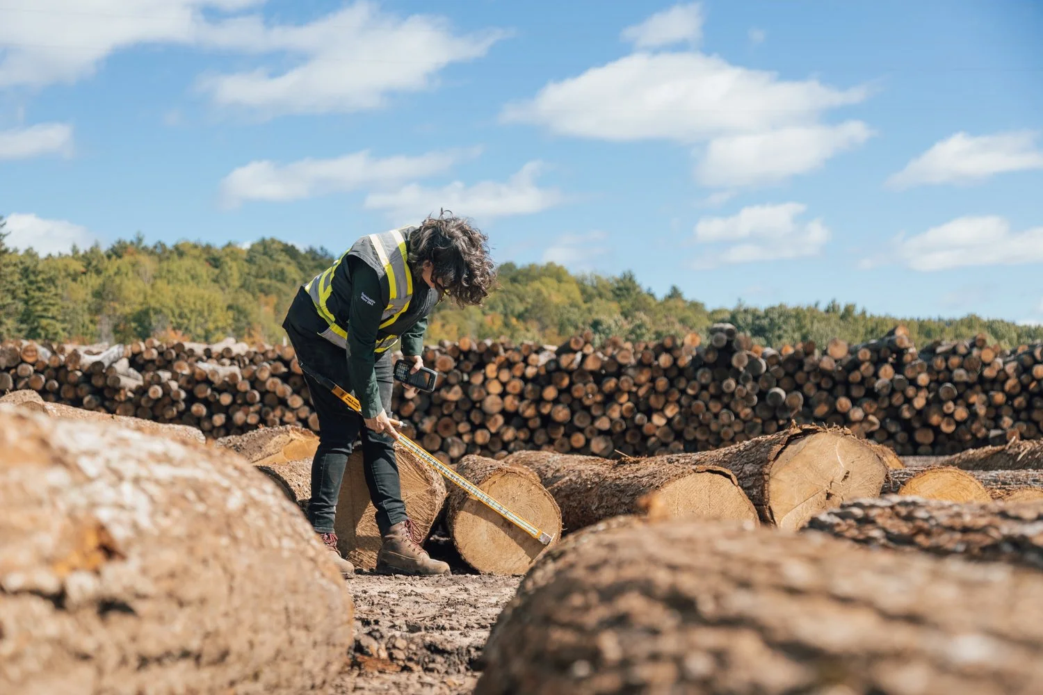 Forest Management
